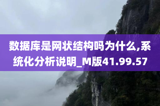 数据库是网状结构吗为什么,系统化分析说明_M版41.99.57