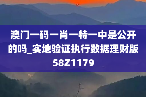 澳门一码一肖一特一中是公开的吗_实地验证执行数据理财版58Z1179