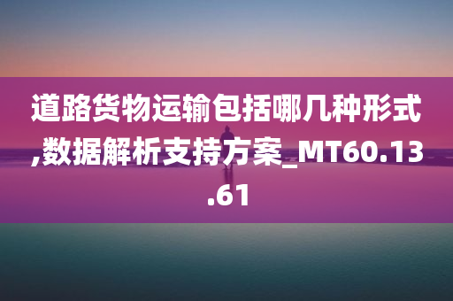 道路货物运输包括哪几种形式,数据解析支持方案_MT60.13.61