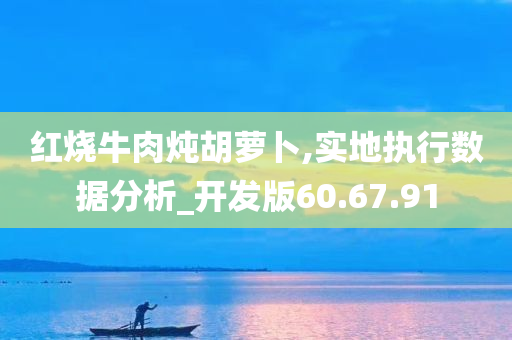 红烧牛肉炖胡萝卜,实地执行数据分析_开发版60.67.91