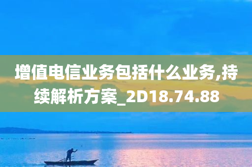 增值电信业务包括什么业务,持续解析方案_2D18.74.88