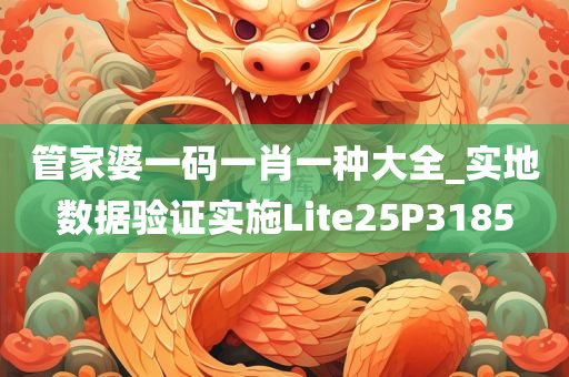 管家婆一码一肖一种大全_实地数据验证实施Lite25P3185