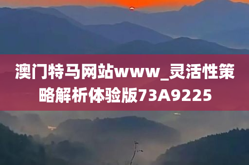 澳门特马网站www_灵活性策略解析体验版73A9225