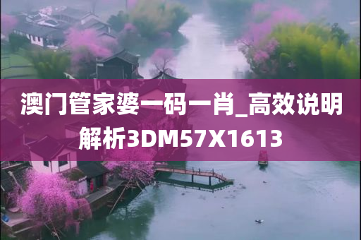 澳门管家婆一码一肖_高效说明解析3DM57X1613