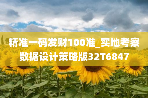 精准一码发财100准_实地考察数据设计策略版32T6847