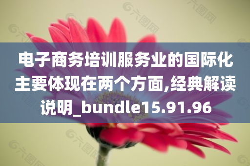 电子商务培训服务业的国际化主要体现在两个方面,经典解读说明_bundle15.91.96