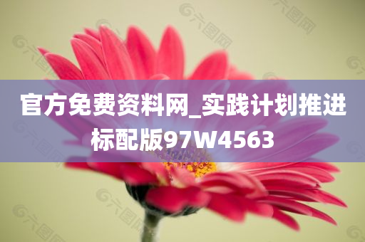 官方免费资料网_实践计划推进标配版97W4563