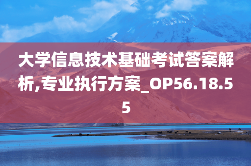 大学信息技术基础考试答案解析,专业执行方案_OP56.18.55