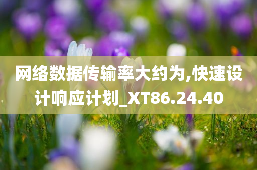 网络数据传输率大约为,快速设计响应计划_XT86.24.40