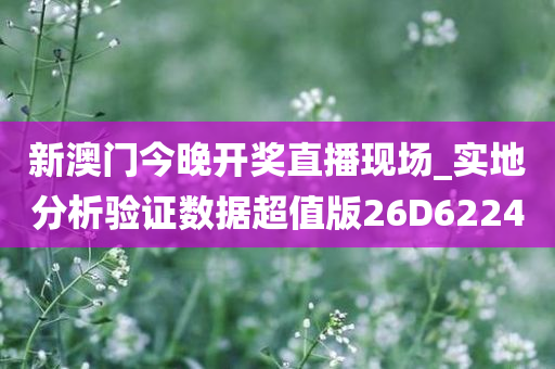 新澳门今晚开奖直播现场_实地分析验证数据超值版26D6224