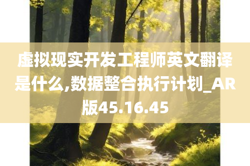 虚拟现实开发工程师英文翻译是什么,数据整合执行计划_AR版45.16.45