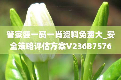 管家婆一码一肖资料免费大_安全策略评估方案V236B7576