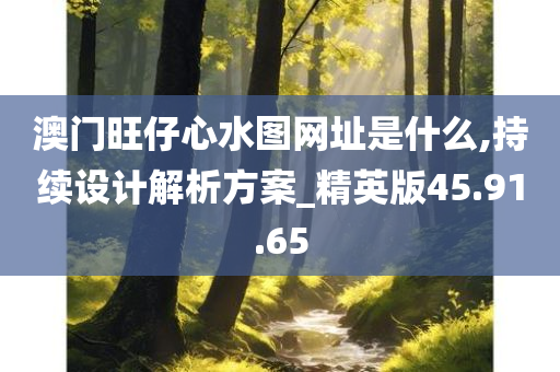 澳门旺仔心水图网址是什么,持续设计解析方案_精英版45.91.65