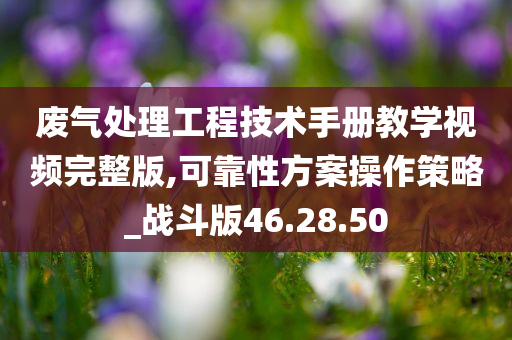 废气处理工程技术手册教学视频完整版,可靠性方案操作策略_战斗版46.28.50