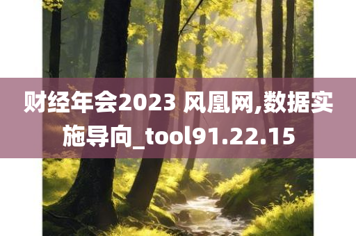 财经年会2023 风凰网,数据实施导向_tool91.22.15