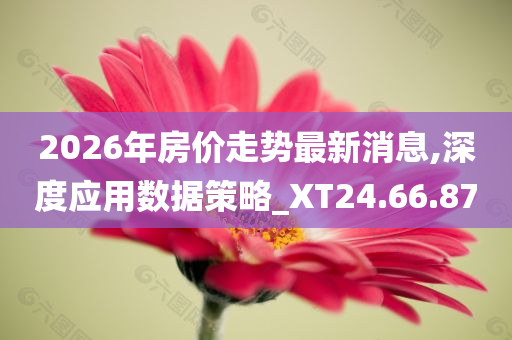 2026年房价走势最新消息,深度应用数据策略_XT24.66.87