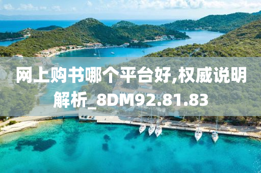 网上购书哪个平台好,权威说明解析_8DM92.81.83