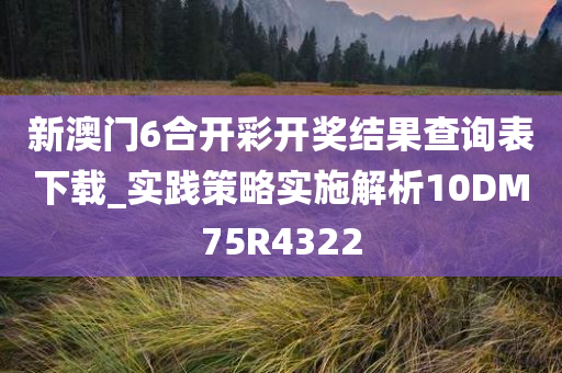 新澳门6合开彩开奖结果查询表下载_实践策略实施解析10DM75R4322