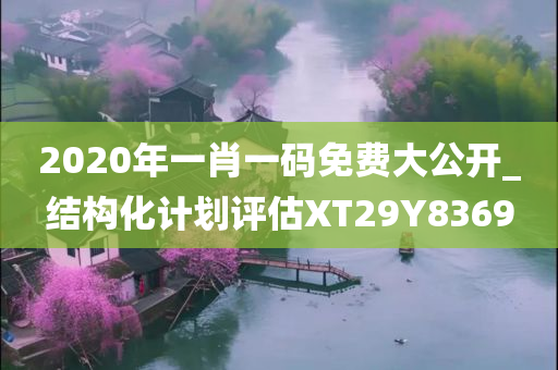 2020年一肖一码免费大公开_结构化计划评估XT29Y8369