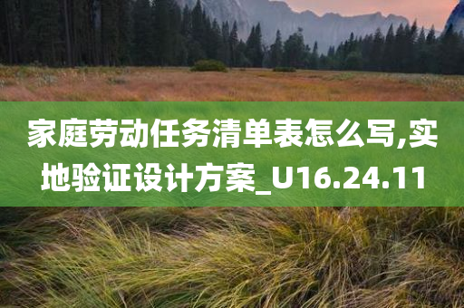 家庭劳动任务清单表怎么写,实地验证设计方案_U16.24.11