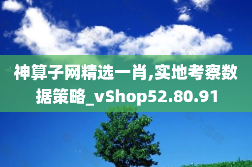 神算子网精选一肖,实地考察数据策略_vShop52.80.91