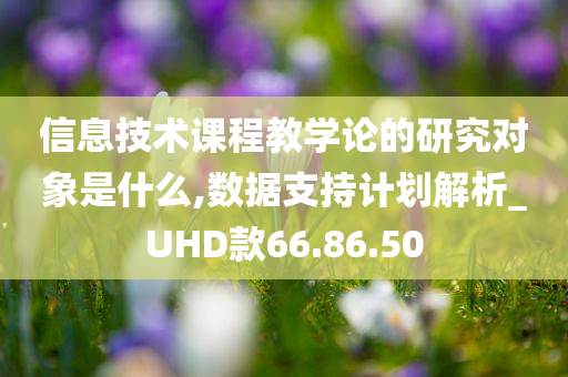 信息技术课程教学论的研究对象是什么,数据支持计划解析_UHD款66.86.50