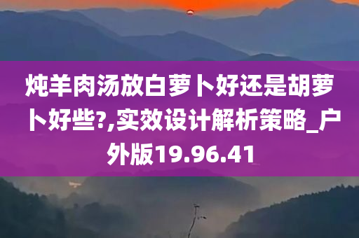 炖羊肉汤放白萝卜好还是胡萝卜好些?,实效设计解析策略_户外版19.96.41