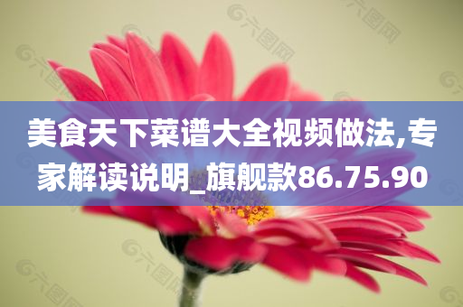 美食天下菜谱大全视频做法,专家解读说明_旗舰款86.75.90