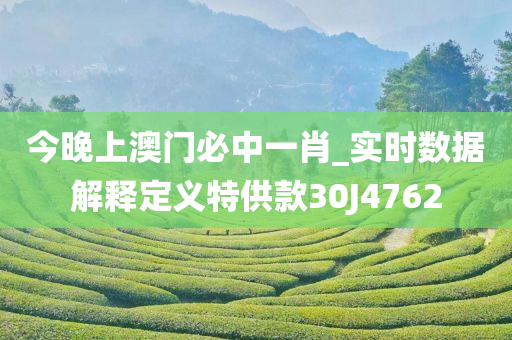 今晚上澳门必中一肖_实时数据解释定义特供款30J4762