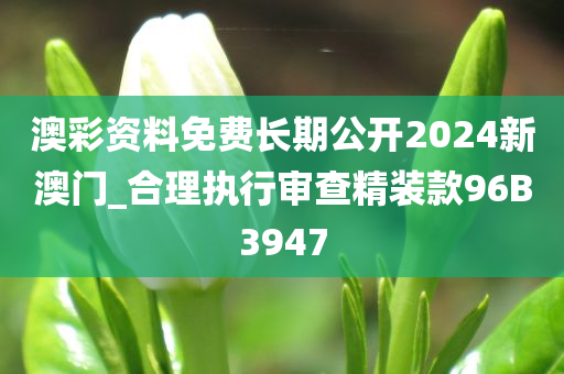 澳彩资料免费长期公开2024新澳门_合理执行审查精装款96B3947