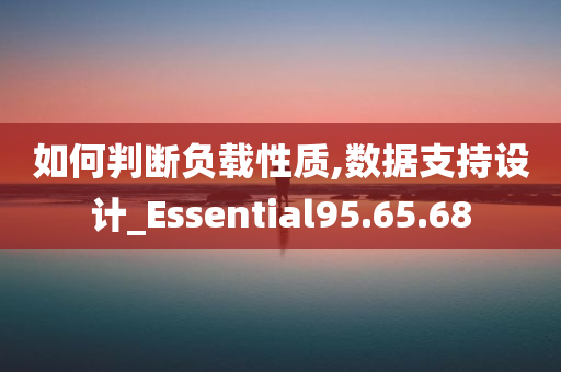 如何判断负载性质,数据支持设计_Essential95.65.68