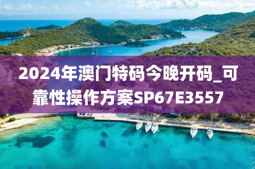 2024年澳门特码今晚开码_可靠性操作方案SP67E3557