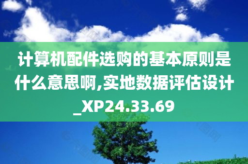 计算机配件选购的基本原则是什么意思啊,实地数据评估设计_XP24.33.69