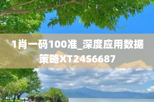 1肖一码100准_深度应用数据策略XT24S6687