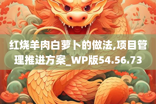 红烧羊肉白萝卜的做法,项目管理推进方案_WP版54.56.73