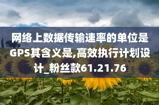 网络上数据传输速率的单位是GPS其含义是,高效执行计划设计_粉丝款61.21.76