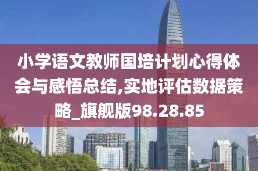 小学语文教师国培计划心得体会与感悟总结,实地评估数据策略_旗舰版98.28.85