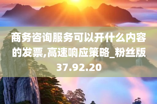 商务咨询服务可以开什么内容的发票,高速响应策略_粉丝版37.92.20