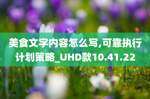 美食文字内容怎么写,可靠执行计划策略_UHD款10.41.22