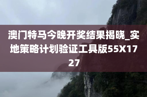 澳门特马今晚开奖结果揭晓_实地策略计划验证工具版55X1727