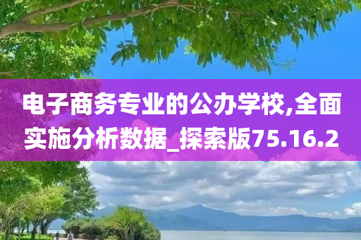 电子商务专业的公办学校,全面实施分析数据_探索版75.16.20