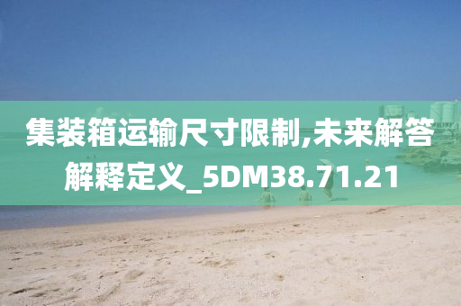 集装箱运输尺寸限制,未来解答解释定义_5DM38.71.21