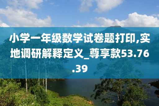 小学一年级数学试卷题打印,实地调研解释定义_尊享款53.76.39