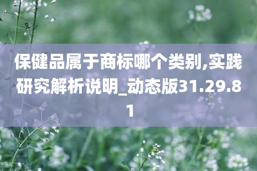 保健品属于商标哪个类别,实践研究解析说明_动态版31.29.81