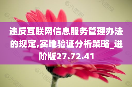 违反互联网信息服务管理办法的规定,实地验证分析策略_进阶版27.72.41