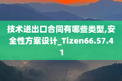 技术进出口合同有哪些类型,安全性方案设计_Tizen66.57.41