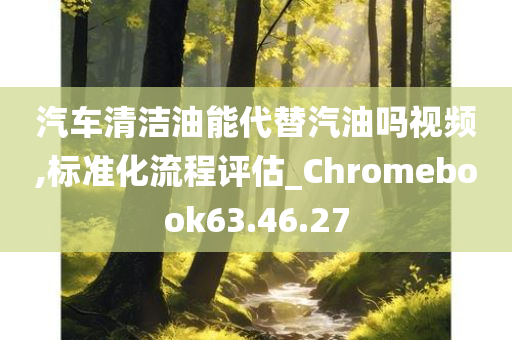 汽车清洁油能代替汽油吗视频,标准化流程评估_Chromebook63.46.27