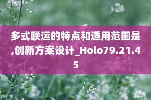 多式联运的特点和适用范围是,创新方案设计_Holo79.21.45