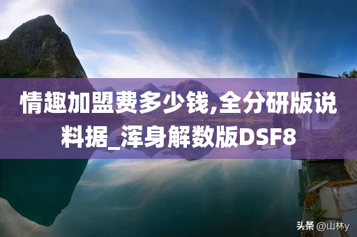 情趣加盟费多少钱,全分研版说料据_浑身解数版DSF8