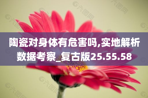 陶瓷对身体有危害吗,实地解析数据考察_复古版25.55.58